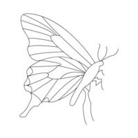 Butterfly continuous single line drawing with black and white background vector