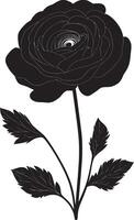 Minimalist black silhouette of a ranunculus flower in format vector