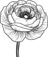 an illustration of a flower with a stem vector