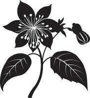 Fuchsia flower icon black illustration vector