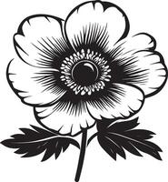 Anemone flower outline in black design vector