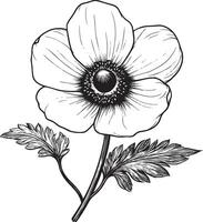 Simple anemone flower icon in black style vector
