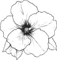 Minimalist black outline of a begonia flower in format vector