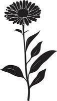 Minimalist black silhouette of an aster flower in format vector