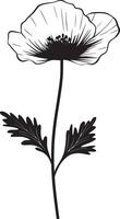 Minimalist black silhouette of a poppy flower in format vector