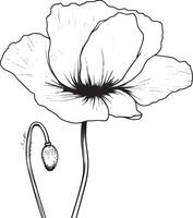 Minimalist black outline of a poppy flower in format vector