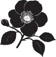 Minimalist black silhouette of a camellia flower in format vector