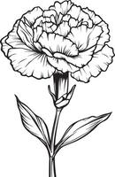 Minimalist black outline of a carnation flower in format vector