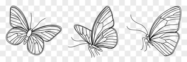Beautiful illustration of three butterfly designs highlighting spring and summer themes in a minimalistic style vector