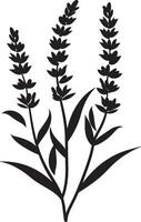 Minimalist black icon of a lavender flower in format vector