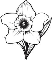Black illustration of a daffodil flower outline vector