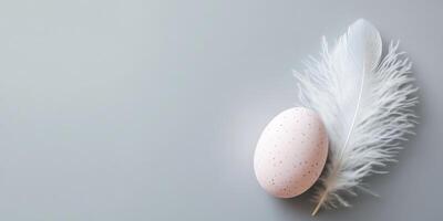 Elegant white feather and speckled egg on subtle gray background for easter theme photo