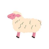 Playful sheep in flat style on white background vector