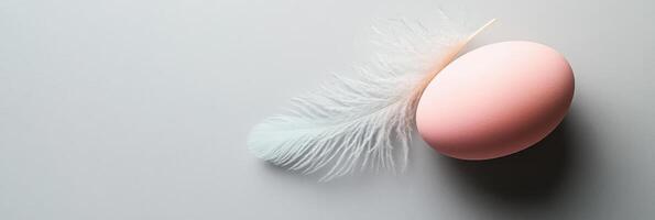 Soft pink egg and white feather in minimalist composition on gray background photo