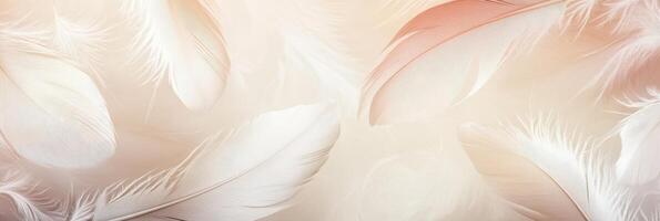 Delicate white and pink feathers on a soft beige background photo