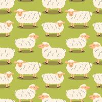 Playful sheep in flat style seamless pattern on green background vector