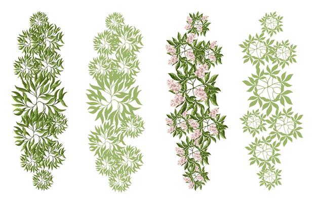 Tree for entourage design. Various trees, bushes, and shrubs, top view for the landscape design plan. illustration.