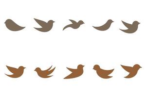 Swift Bird Silhouette Icon Set vector