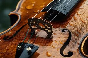 Close-Up of Raindrop-Covered Violin Strings with Wooden Bridge Detail photo