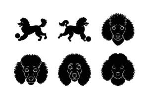 Poodle silhouette design for creative projects vector