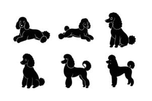 Simple poodle dog silhouette in flat design vector