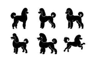 Stylized poodle dog silhouette for modern designs vector