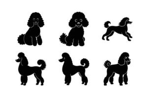 Poodle silhouette for modern minimalist designs vector