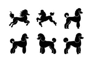 Flat poodle dog silhouette design for artwork vector