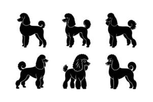 Creative poodle silhouette for modern graphic design vector
