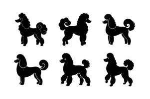Minimal poodle dog silhouette for artistic projects vector