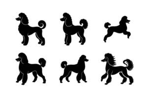 Simple poodle silhouette design for modern art vector