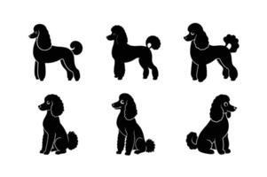 Flat poodle silhouette design for pet art projects vector