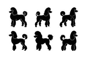 Modern poodle dog silhouette for pet-related designs vector