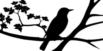 Bird on tree branch silhouette on white vector