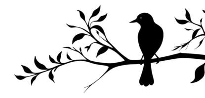 Bird on branch silhouette vector