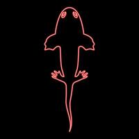 Neon axolotl ambystoma mexicanum overhead view red color style vector