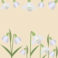 Spring first delicate flowers background. Banner with snowdrops, floral decor. Blooming plants, stems, buds. Botanical background, texture design for textile, fabric, packaging. vector