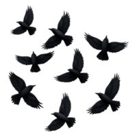 Black Birds in Flight Creating a Stunning Visual Pattern Design png