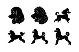 Bundle of poodle dog silhouettes for various designs vector