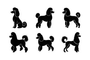 Poodle dog silhouette bundle for versatile design use vector