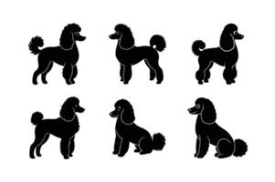 Complete poodle dog silhouette bundle for design vector