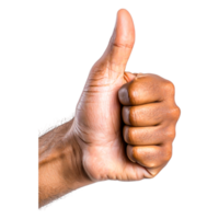 Positive Gesture of Approval with a Raised Thumb in Clear View png