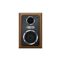 Music tabletop speaker with one dynamic and a subwoofer in a wooden case isolated vector