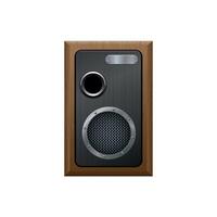 Music speaker with one dynamic and a subwoofer in a wooden case vector