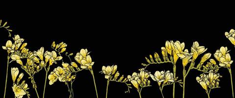 Hand drawn line art freesia on black background. Yellow freesia banner template for online and print projects. vector