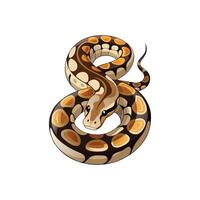 Wildlife Ball Python Graphic Design On White Background vector