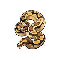 Coiled Ball Python Digital Design On White Background vector