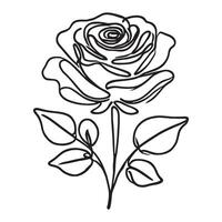 Set of elegant line art rose illustrations on a white background. vector
