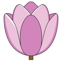 Pink Magnolia Blossom Flower Illustration, Simple Design, Botanical Art vector