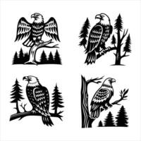 eagle sitting tree branch Transparent Background vector